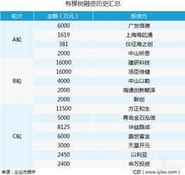 跨境電商有棵樹獲近4億元C輪融資,將建設全球商品流通網(wǎng)絡