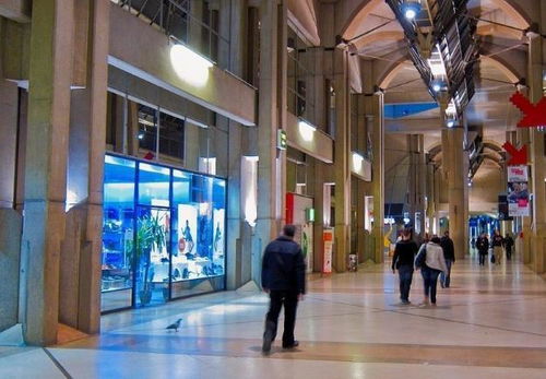 巴基斯坦姑娘來(lái)中國(guó)游玩,才兩天就哭著回國(guó) 我都吃不下飯