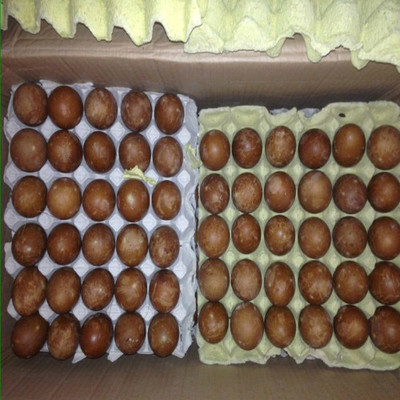 河南菜仙供應(yīng)鮮鴨蛋、咸鴨蛋批發(fā)、零售歡迎新老客戶來電咨詢圖片_高清圖_細節(jié)圖-河南菜仙蔬貿(mào)易 -
