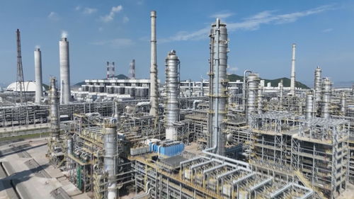 推進大宗商品資源配置樞紐建設(shè) 魚山島奮勇當(dāng)先