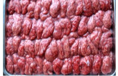 威海昊成貿(mào)易 單擺豬腦 收購豬苦膽 批發(fā)豬副產(chǎn)品 價格豬副產(chǎn)品圖片_高清圖_細(xì)節(jié)圖