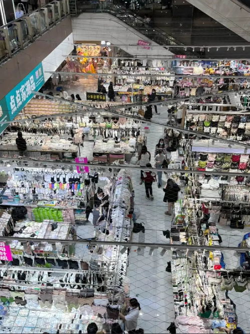 最近的北京年輕人,流行去鄭州玩2元自助