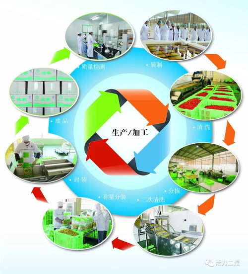組織會員單位參加二連浩特邊民互市貿易區商品展銷會，推動商品零售貿易發展
